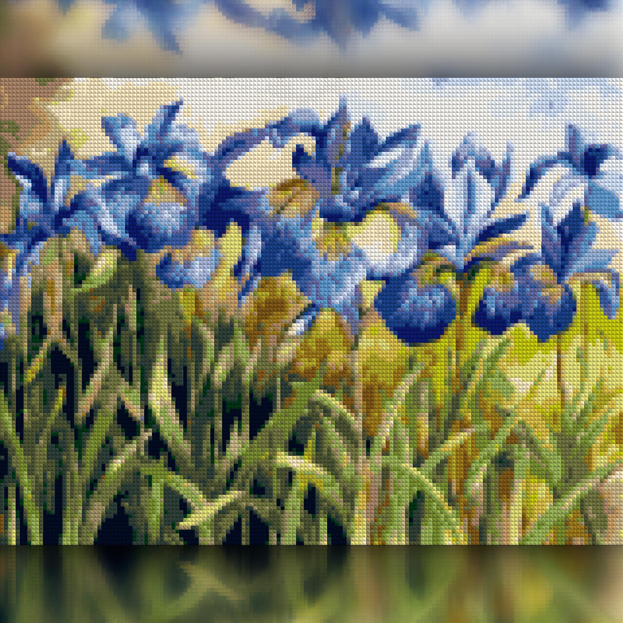 интернет магазин кирюшка ирисы. ирис бородатый бело голубой. картина осипенко николай николаевич ирисы. интернет магазин кирюшка ирисы. дэниел кейси ирисы.