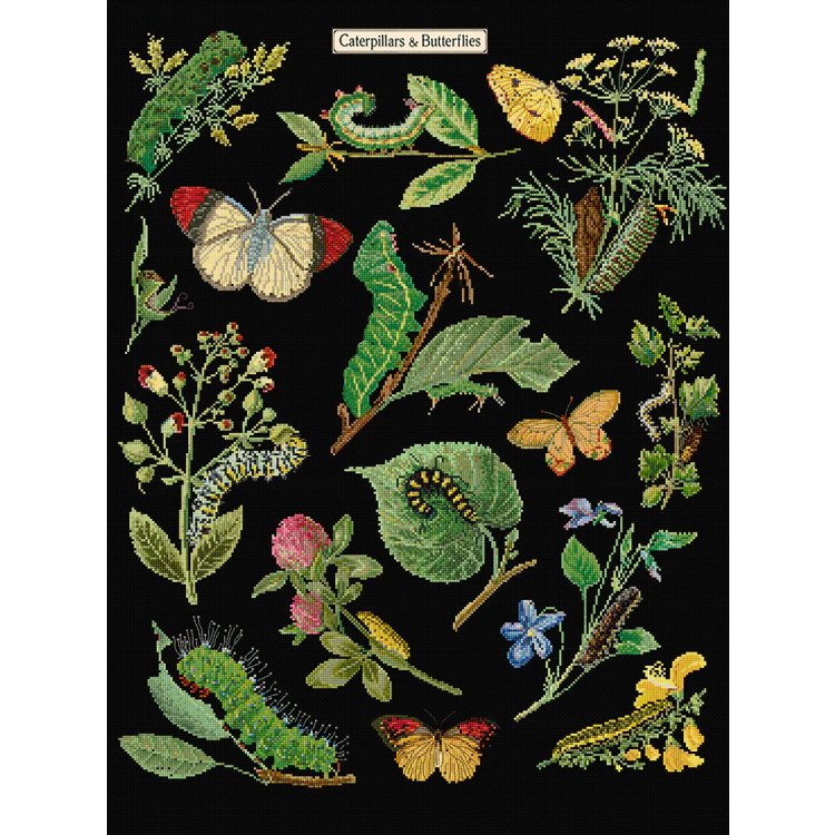 587.05 Caterpillars &amp; Butterflies Black Aida. Набір для вишивки хрестом Thea Gouverneur - 1