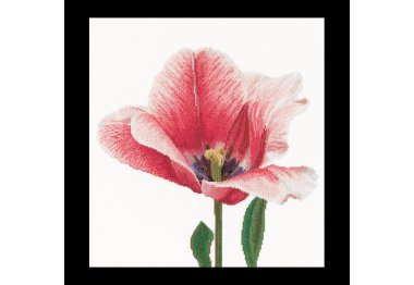  518 Pink Darwin hybrid tulip Linen. Набор для вышивки крестом Thea Gouverneur