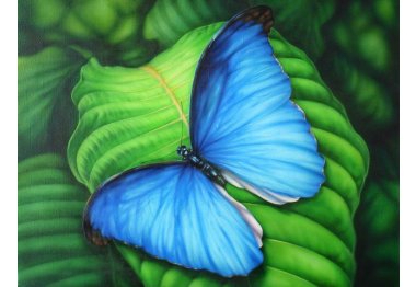 алмазна вишивка dm-181 "Синій метелик". Набір для виготовлення картини стразами