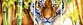 45-2940-НДТ Далекосхідний тигр. Набір для вишивання бісером ТМ Токарєва А. - 1