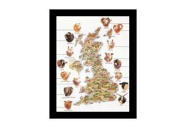  1076A Sheep Map Of Great Britain Aida. Набор для вышивки крестом Thea Gouverneur