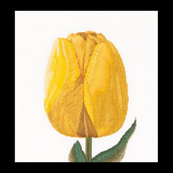 522 Yellow hybrid tulip Linen. Набор для вышивки крестом Thea Gouverneur - 1