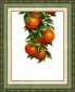 ВТ-138 Солнечные апельсины. Набор для вышивки крестом - 1