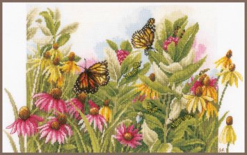 PN-0179972 Butterflies and coneflowers. Набор для вышивки крестом Lanarte - 1