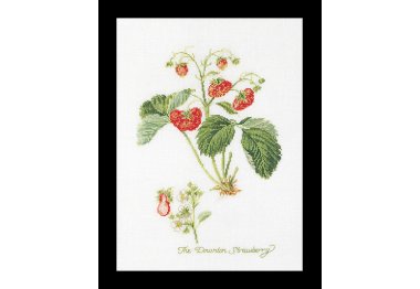  2085 Strawberry Linen. Набор для вышивки крестом Thea Gouverneur