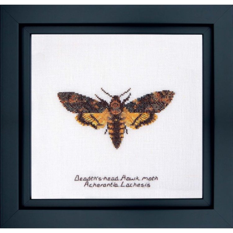 563 Death's-head Hawk moth Linen. Набор для вышивки крестом Thea Gouverneur - 1