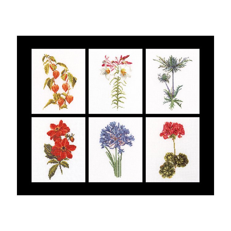 3082 Six Floral Studies Linen. Набір для вишивки хрестом Thea Gouverneur - 1