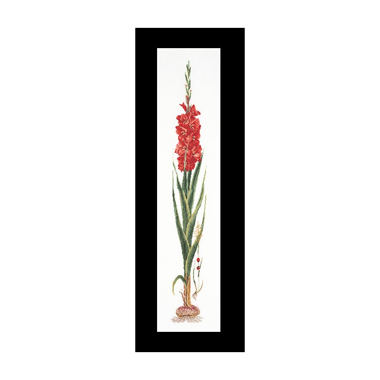 3073 Gladioli Red Linen. Набор для вышивки крестом Thea Gouverneur - 1
