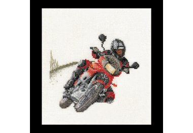  3054 Motorcyclist Linen. Набор для вышивки крестом Thea Gouverneur
