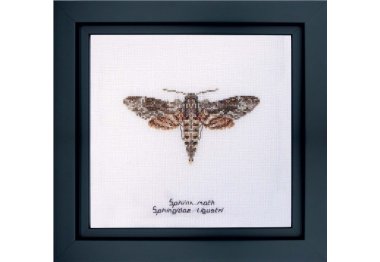  564 Sphinx moth Linen. Набор для вышивки крестом Thea Gouverneur