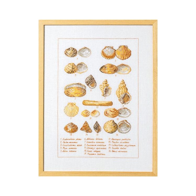 70-6400 Морские раковины (Sea shells. Набор для вышивания крестом PERMIN - 1