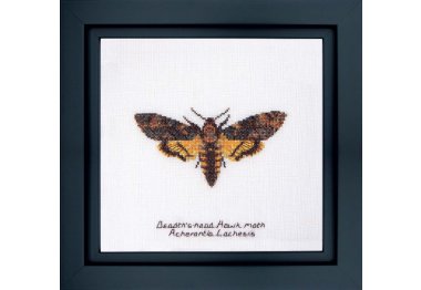 563 Death's-head Hawk moth Linen. Набор для вышивки крестом Thea Gouverneur