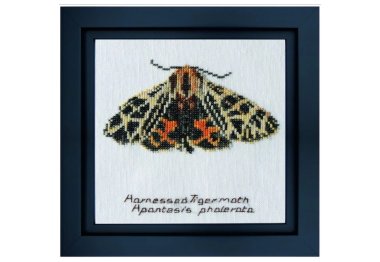  569A Harnessed Tiger moth Aida. Набор для вышивки крестом Thea Gouverneur