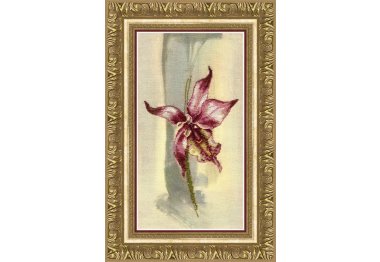  РК-111 Лиловая орхидея. Набор для вышивания крестом