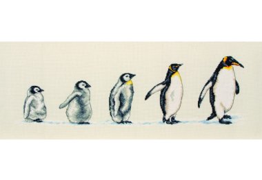  Пінгвіни в ряд. Набір для вишивки хрестиком арт. PCE751