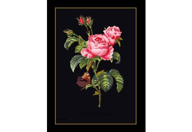  2030.05 Rose Redouté Black Aida. Набор для вышивки крестом Thea Gouverneur