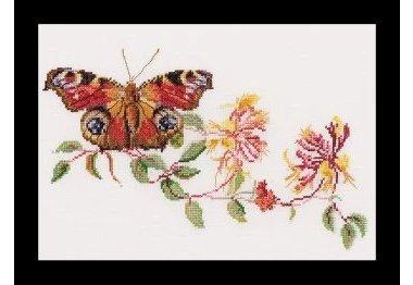  439A Butterfly-Honeysuckle Aida. Набір для вишивки хрестом Thea Gouverneur
