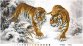 ТТ-005 Уссурійські тигри. Схема для вишивки бісером (атлас) ТМ Барвиста Вишиванка - 1