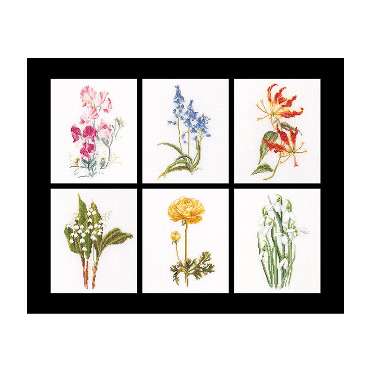 3086 Six Floral Studies Linen. Набір для вишивки хрестом Thea Gouverneur - 1