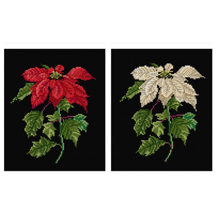 604.05 Poinsetia Black Aida. Набор для вышивки крестом Thea Gouverneur - 1