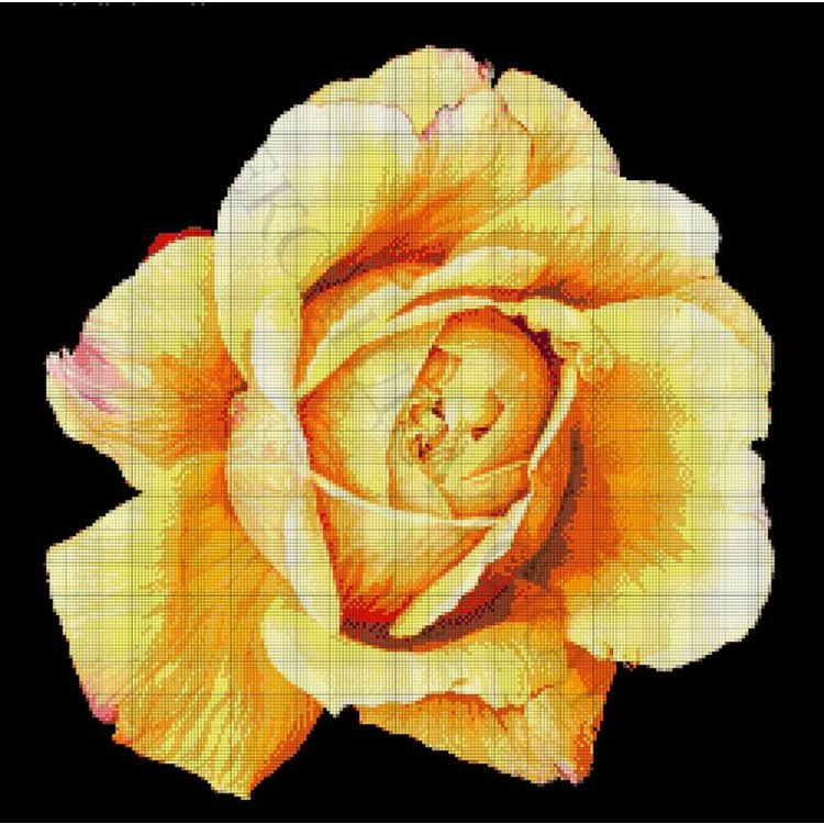 29-2116-НЖ Желтая роза. Набор Для вышивки бисером ТМ Токарева А. - 1