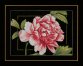 PN-0155749 Розовая роза. Набор для вышивки крестом Lanarte - 1
