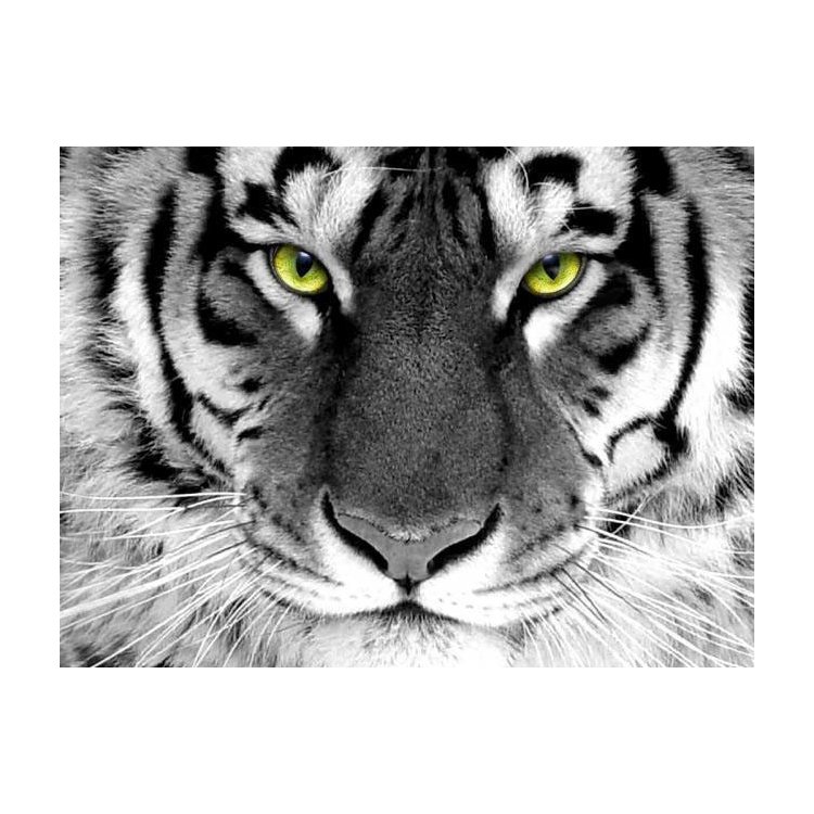 dm-281 Взгляд тигра. Набор для изготовления картины стразами - 1