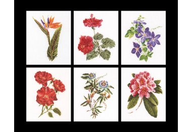  3081 Six Floral Studies Linen. Набор для вышивки крестом Thea Gouverneur