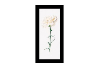  466A Carnation White Aida. Набір для вишивки хрестом Thea Gouverneur