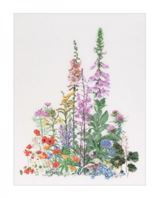 554 American Wild Flowers Linen. Набор для вышивки крестом Thea Gouverneur - 1