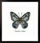 PN-0165403 Голубая бабочка. Набор для вышивки крестом Vervaco - 1
