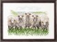 70-7433 Овцы. Набор для вышивания крестом PERMIN - 1