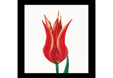  515 Red/Yellow Lily flowering tulip Linen. Набір для вишивки хрестом Thea Gouverneur