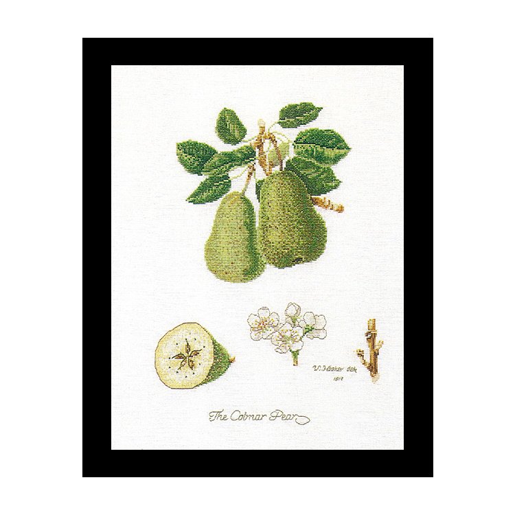 2056 Colnar Pears Linen. Набір для вишивки хрестом Thea Gouverneur - 1