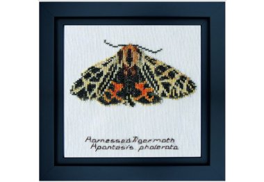  569 Harnessed Tiger moth Linen. Набор для вышивки крестом Thea Gouverneur