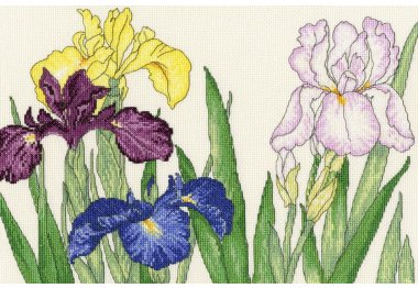  XBD14 Iris Blooms "Ирис цветёт" Bothy Threads. Набор для вышивки крестом