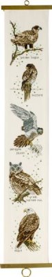 35-8130 Хищники (Raptors. Набор для вышивания крестом PERMIN - 1