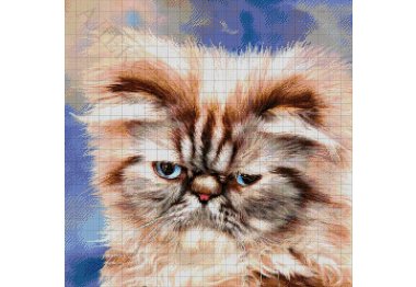  42-2116-НП Персидский кот. Набор Для вышивки бисером ТМ Токарева А.