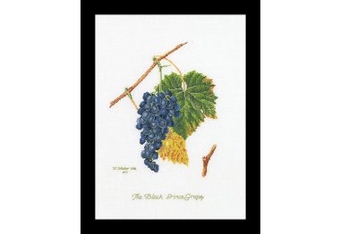  2086 Grapes Linen. Набір для вишивки хрестом Thea Gouverneur