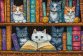 Набір для вишивки хрестиком L9917 Bookshelf. Letistitch - 1 Набір для вишивки хрестиком L9917 Bookshelf. Letistitch - 1