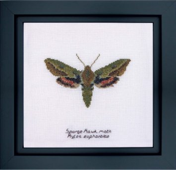 565 Spurge Hawk moth Linen. Набор для вышивки крестом Thea Gouverneur - 1
