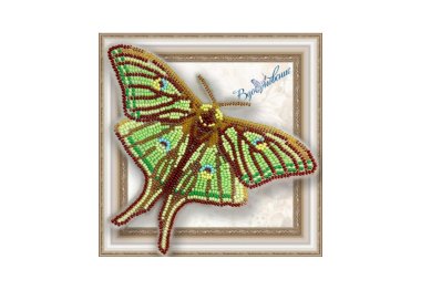  BGP-016 3D Метелик Грельсія Ізабелли. Набір для вишивки бісером ТМ Вдохновение