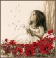 PN-0184269 Girl in a poppy field. Набір для вишивки хрестиком Vervaco - 1 PN-0184269 Girl in a poppy field. Набір для вишивки хрестиком Vervaco - 1