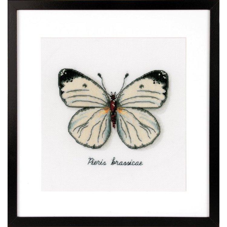 PN-0165233 Белая бабочка. Набор для вышивки крестом Vervaco - 1