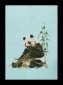 937 Panda Linen. Набор для вышивки крестом Thea Gouverneur - 1