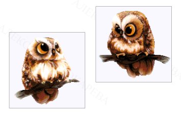 31-1250-НСД Совята (диптих). Набор для вышивки бисером ТМ Токарева А. - 1