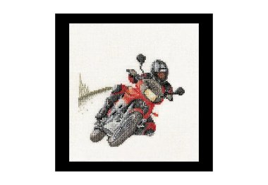  3054A Motorcyclist Aida. Набор для вышивки крестом Thea Gouverneur