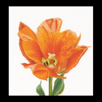 523 Orange Triumph tulip Linen. Набор для вышивки крестом Thea Gouverneur - 1