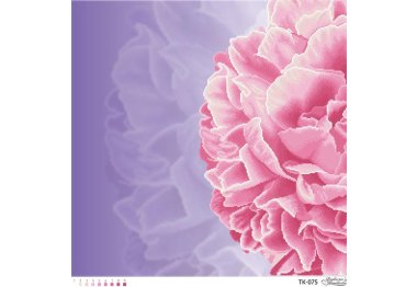  ТК-075 Розкішна рожева півонія. Схема для вишивки бісером (габардин) ТМ Барвиста Вишиванка